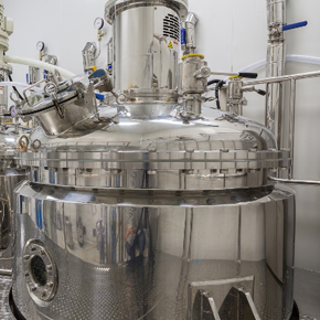 Batch reactor